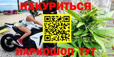 крисы Кулебаки