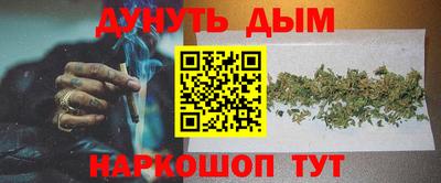 крисы Кулебаки