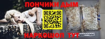 крисы Кулебаки