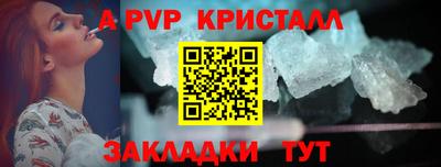 крисы Кулебаки