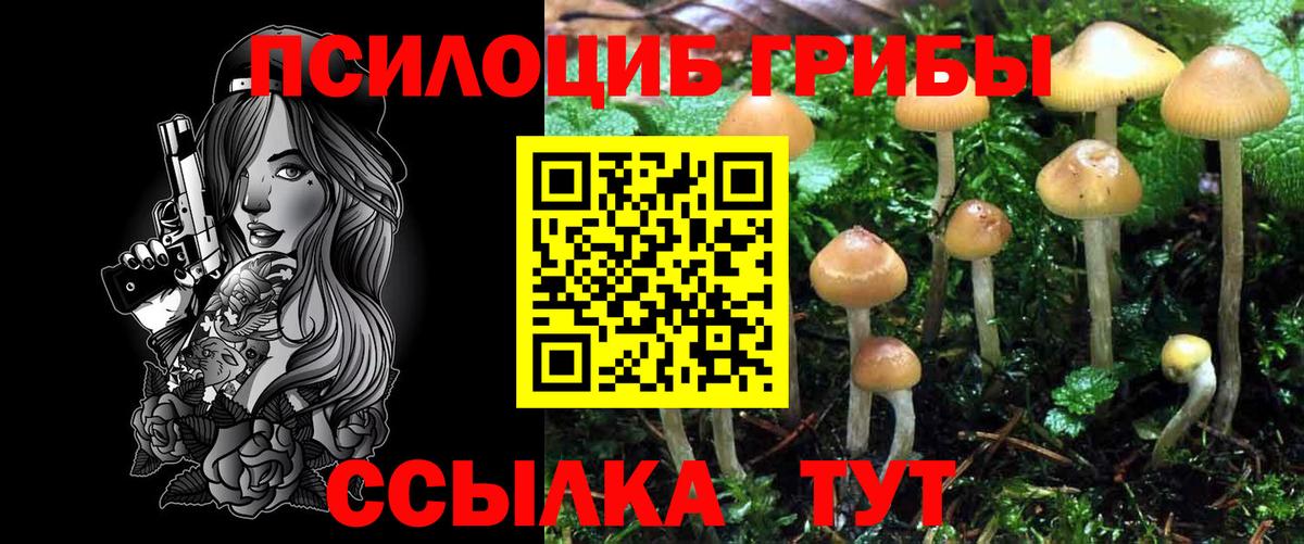Южно-Сахалинск  Галлюциногенные грибы ЛСД  Вход с VPN 